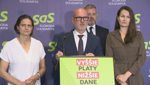 Tlačová beseda SaS o aktuálnej politickej situácii