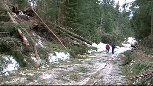 Meteorológovia varujú, čaká nás silný vietor