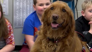 Perfektný nápad ako zbaviť deti strachu zo zubára