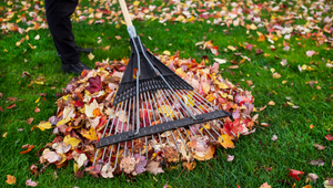 Poradíme, AKO pripraviť záhradu na zimu