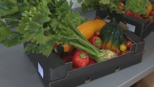 Farma so srdcom: Rozdávajú zeleninu tým, ktorí nevládzu pestovať