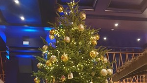 Takto vyzerá najdrahší vianočný stromček na svete: Z tej sumy sa vám zakrúti hlava