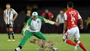 Ako futbalisti naháňali psa!