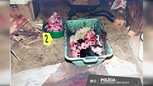 Sekerou zabil päť psov. 40-ročný muž spoznal za ohavný čin trest