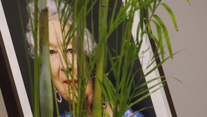 Škandál priamo kráľovnej pod nosom! Zahájili vyšetrovanie šikany a sexuálneho zneužitia!