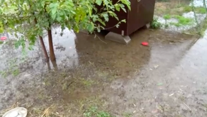 NEHRALI: Smrad, výkaly či dokonca prezervatívy. Pán Jozef rieši kuriózny problém vo svojej záhrade