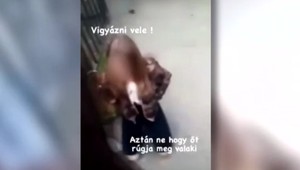 V Komárne terorizuje školákov nebezpečný gang. Prehovorila matka napadnutého dievčaťa