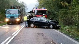 Smrteľná nehoda pri Ružomberku. Vodič neprežil zrážku so srnou