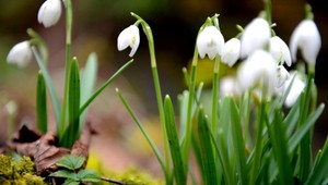 Počasie na najskoršiu Veľkú noc prekvapí