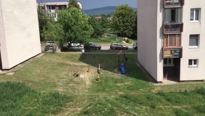 VIDEO: Medzi stupavské paneláky zavítala srnka