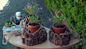 Originálne nápady do záhrady? Inšpirujte sa odborníčkou!