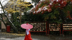 V Tokiu padal novembrový sneh po viac ako pol storočí