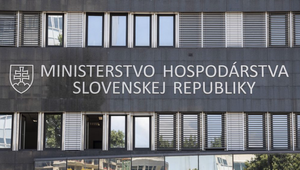 Kozmetička Marcela Martonová odstúpila z vedenia dozornej rady Energetiky Slovensko