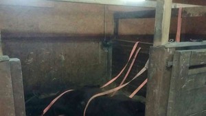 Hasiči zasahujú pri záchrane koňa z boxu