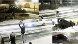 Vandali oslavovali Nový rok, odrezali Vianočný stromček