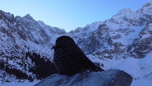 Vysoké Tatry zo severu? Na túru si pripravte kompletný výstroj