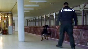 Policajné opatrenia pred vystúpením súboru z Petrohradu. Prehľadali komárňanské stredisko