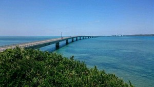 Na žiadosť o ruku povedala áno. Od radosti spadol z mosta a zabil sa