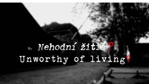 Dokumentárny film Nehodní žitia? odvysielali v europarlamente