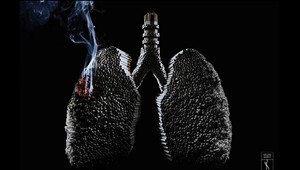 Ešte stále neveríte tomu, že fajčenie škodí zdraviu? Po tomto VIDEU o tom už nikto nebude pochybovať