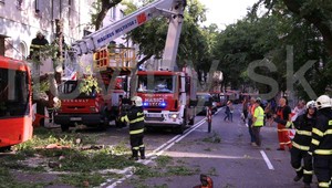 V centre Bratislavy spadol strom na autobus MHD