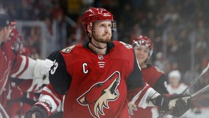 Ekman-Larsson vystrašil fanúšikov. Ruku mu dohrýzol pes