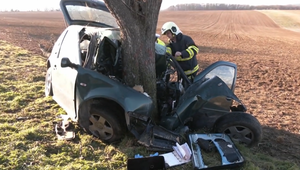 Vodič tragicky zahynul po náraze do stromu. Záchranári ho nedokázali oživiť