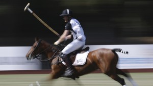 Harry spadol z koňa, môže za to TÁTO polonahá kráska?!