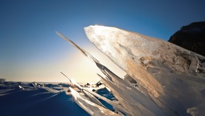 Oživili tisícky rokov mŕtveho tvora: Vedci sú v šoku