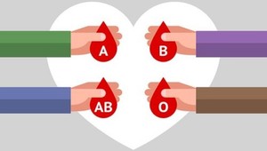 Ste A, B, 0 alebo AB? Prekvapí vás, čo prezrádza krvná skupina o vašej osobnosti