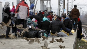 Švédsko vyhostí až 80 tisíc migrantov, ktorí nemajú nárok na azyl