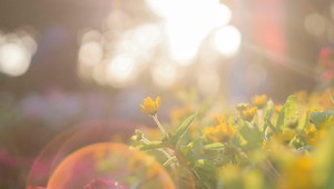 Pripravte sa na mimoriadne horúci pondelok