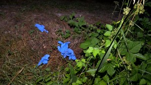 Penzista, ktorý kedysi slúžil v cudzineckej légii, údajne dobil kamaráta tak surovo, že zomrel v nemocnici