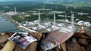 Rádioaktívne ryby pri Fukušime. Dostanú sa aj k nám?