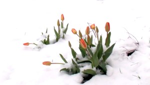 Zima je späť: Oravu aj Vysoké Tatry zasypal sneh