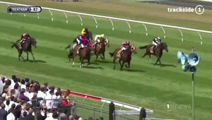 Šialenec sa v cieľovej rovinke postavil rozbehnutým koňom