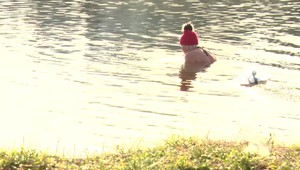 Otužovanie na Nový rok? Vysoké teploty to dovolili