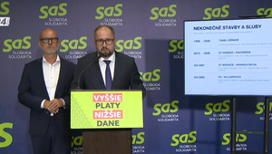 Tlačová beseda strany SAS o rezorte dopravy