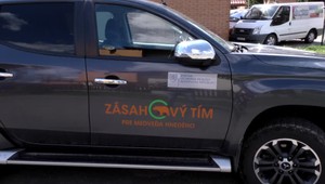 Zásahový tím usmrtil medvedicu, ktorá stratila plachosť, medvieďatá pôjdu do ZOO