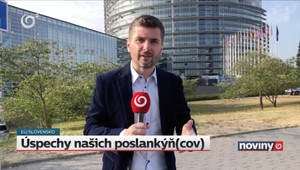 Lucia Nicholsonová získala job vo vedení europarlamentu