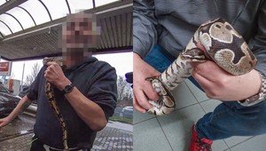 Opitý muž s hadom na krku vyvolal chaos na benzínke. Vyhrážal sa a hadiu hlavu si dával do úst