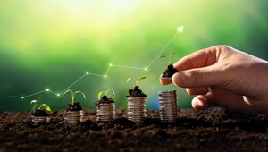 Slováci sú konzervatívni. Väčšinu peňazí držia na produktoch s nulovým úročením a polovica sa bojí investovať