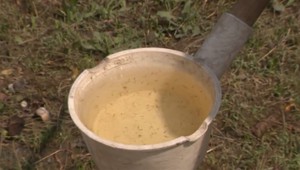 Bratislava poslala špecialistov na boj proti komárom. Kraj nasadil aj drony