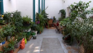 Nedarí sa vám pestovať rastliny? V Starej tržnici pre ne zriadili útulok