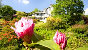 Chcete mať zelenú záhradu? Pozrite si návod, ako na to