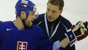 Gáborík: V Hanlonovi chyba nebola!