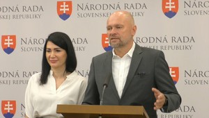 Odborník o Sulíkovi a Bittó Cigánikovej: Potenciál zobrať voličov SaS majú obaja