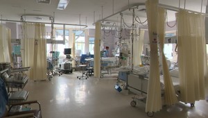 Marcinková varuje pred biznisom s pupočníkovou krvou: Rodičky dostávajú nepresné informácie