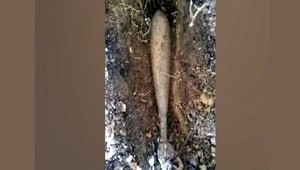 Prekvapenie pri výstavbe obchvatu