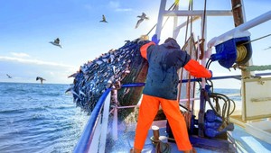 Svetový oceán môže zostať bez rýb